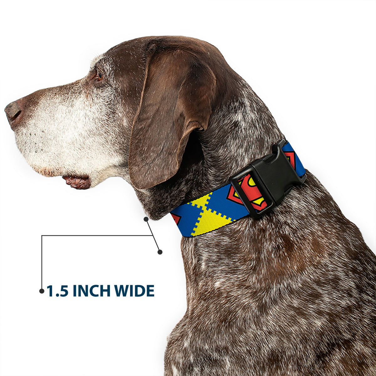 Plastic Clip Collar - Jagged Superman Shield CLOSE-UP Yellow/Blue/Red Dog Collars Plastic Clip Side Release DC Comics