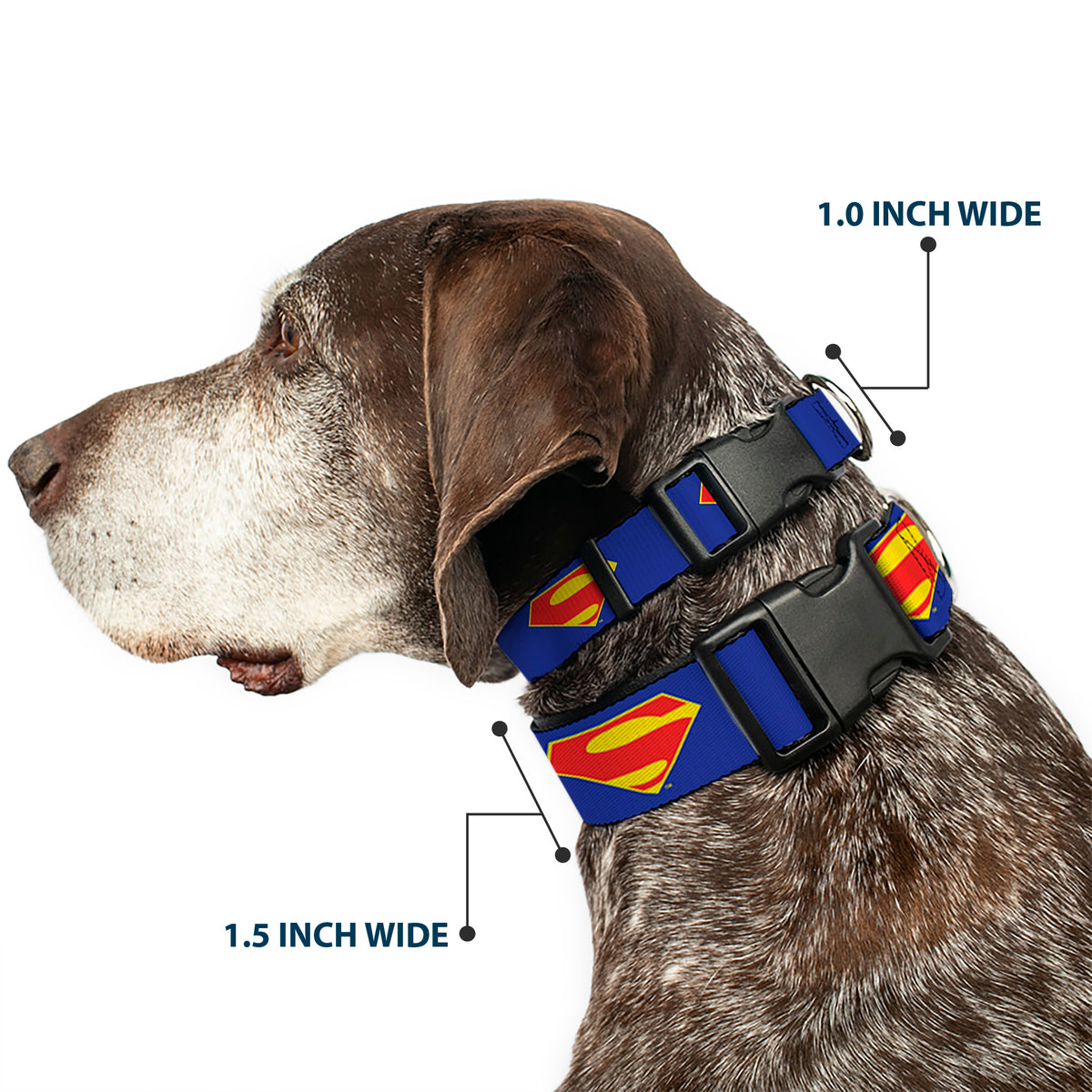 Plastic Clip Collar - DC League of Super-Pets Superman Shield Logo Blue/Red/Yellow Dog Collars Plastic Clip Side Release DC Comics