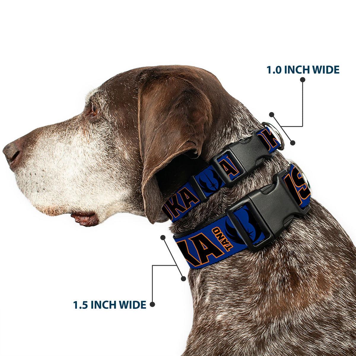 Plastic Clip Collar - Star Wars TANO AHSOKA Pose/Jedi Order Insignia Blues/Gray Dog Collars Plastic Clip Side Release Star Wars