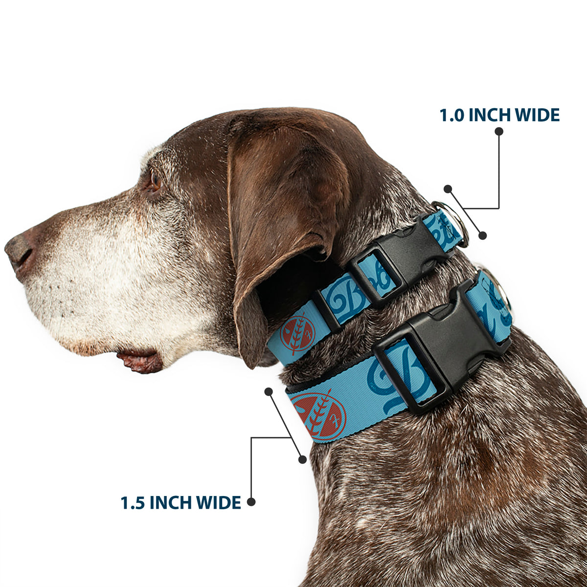 Plastic Clip Collar - Star Wars BOBA FETT Script and Logo Blues/Red Dog Collars Plastic Clip Side Release Star Wars
