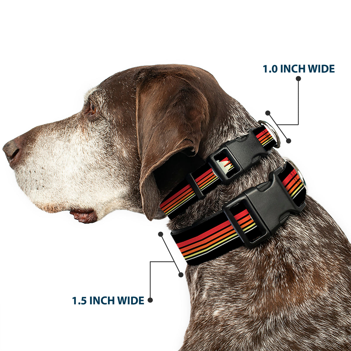 Plastic Clip Collar - Star Wars Millennium Falcon Stripe Black/Multi Color Dog Collars Plastic Clip Side Release Star Wars