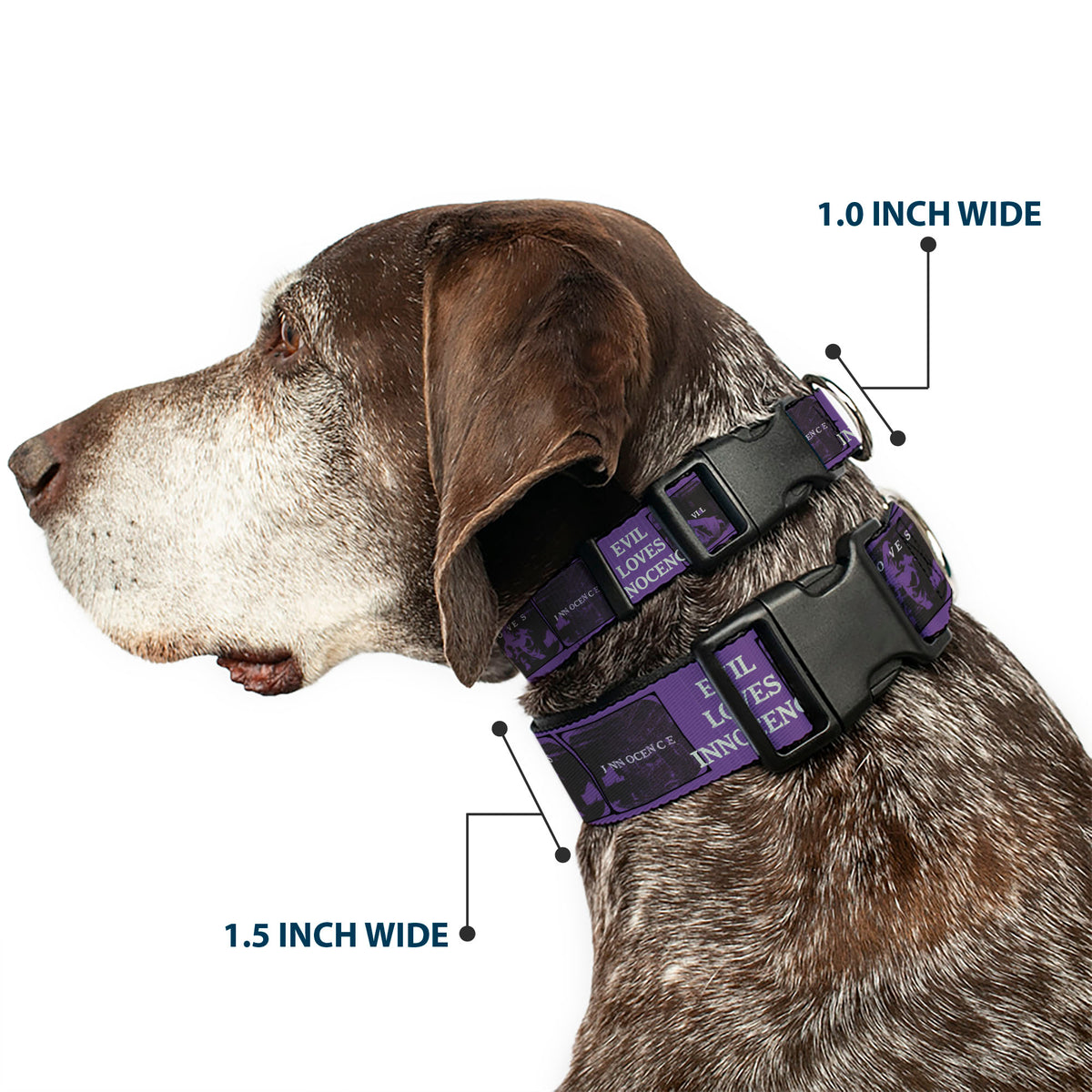 Plastic Clip Collar - The Conjuring EVIL LOVES INNOCENCE Pose Blocks Purple/Black Dog Collars Plastic Clip Side Release The Conjuring