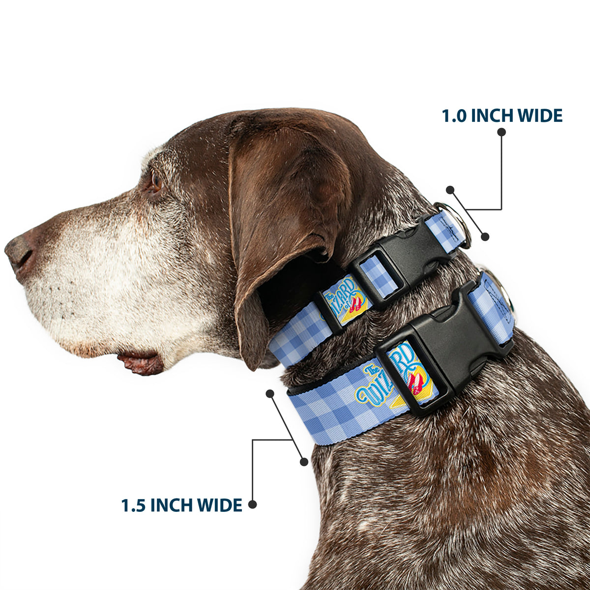 Plastic Clip Collar - THE WIZARD OF OZ Logo Gingham Checker Blues Dog Collars Plastic Clip Side Release The Wizard of Oz
