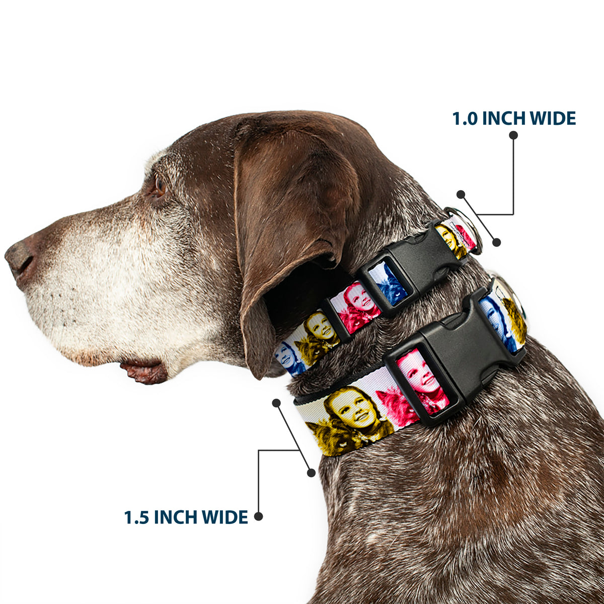 Plastic Clip Collar - The Wizard of Oz Dorothy and Toto Pose Blocks Blues/Yellows/Reds Dog Collars Plastic Clip Side Release The Wizard of Oz