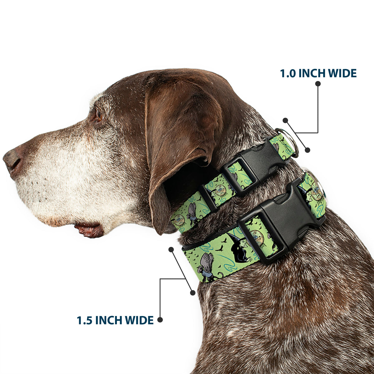 Plastic Clip Collar - The Wizard of Oz Wicked Witch of the West and Flying Monkeys Greens Dog Collars Plastic Clip Side Release The Wizard of Oz