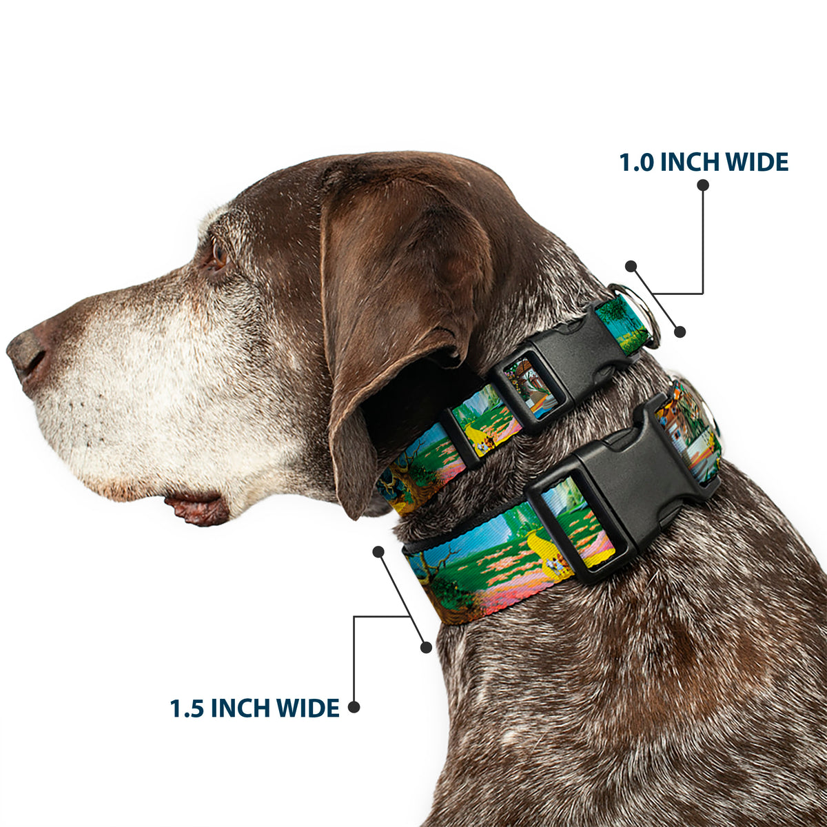Plastic Clip Collar - The Wizard of Oz Yellow Brick Road Scenes Dog Collars Plastic Clip Side Release The Wizard of Oz