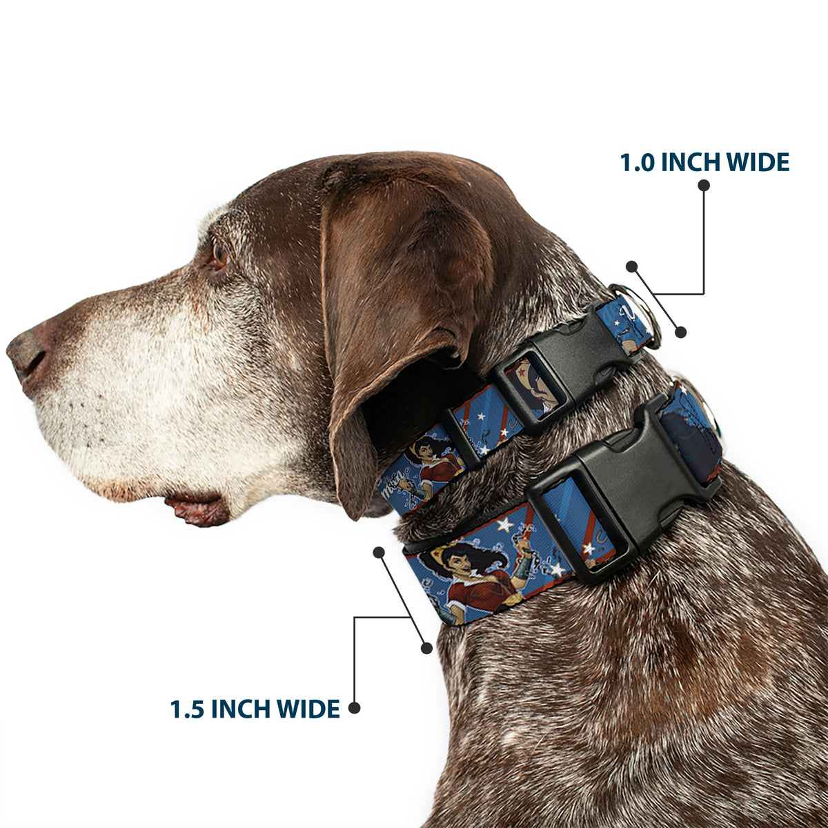 Plastic Clip Collar - WONDER WOMAN/Bombshell Pose Blue/Red/White Dog Collars Plastic Clip Side Release DC Comics