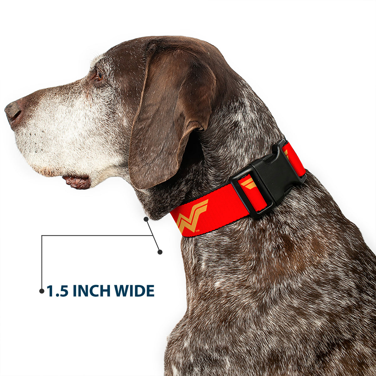 Plastic Clip Collar - DC League of Super-Pets Wonder Woman Logo Red/Yellow Dog Collars Plastic Clip Side Release DC Comics