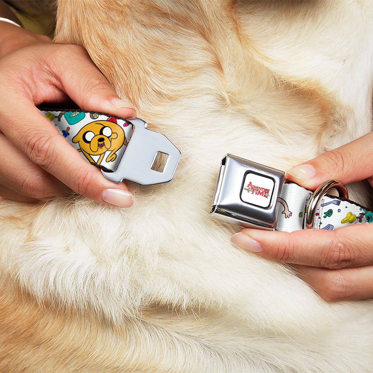 ADVENTURE TIME Title Logo Full Color White Seatbelt Buckle Collar - Adventure Time Jake and Finn Open Pack Pose White Dog Collars Seatbelt Buckle Adventure Time
