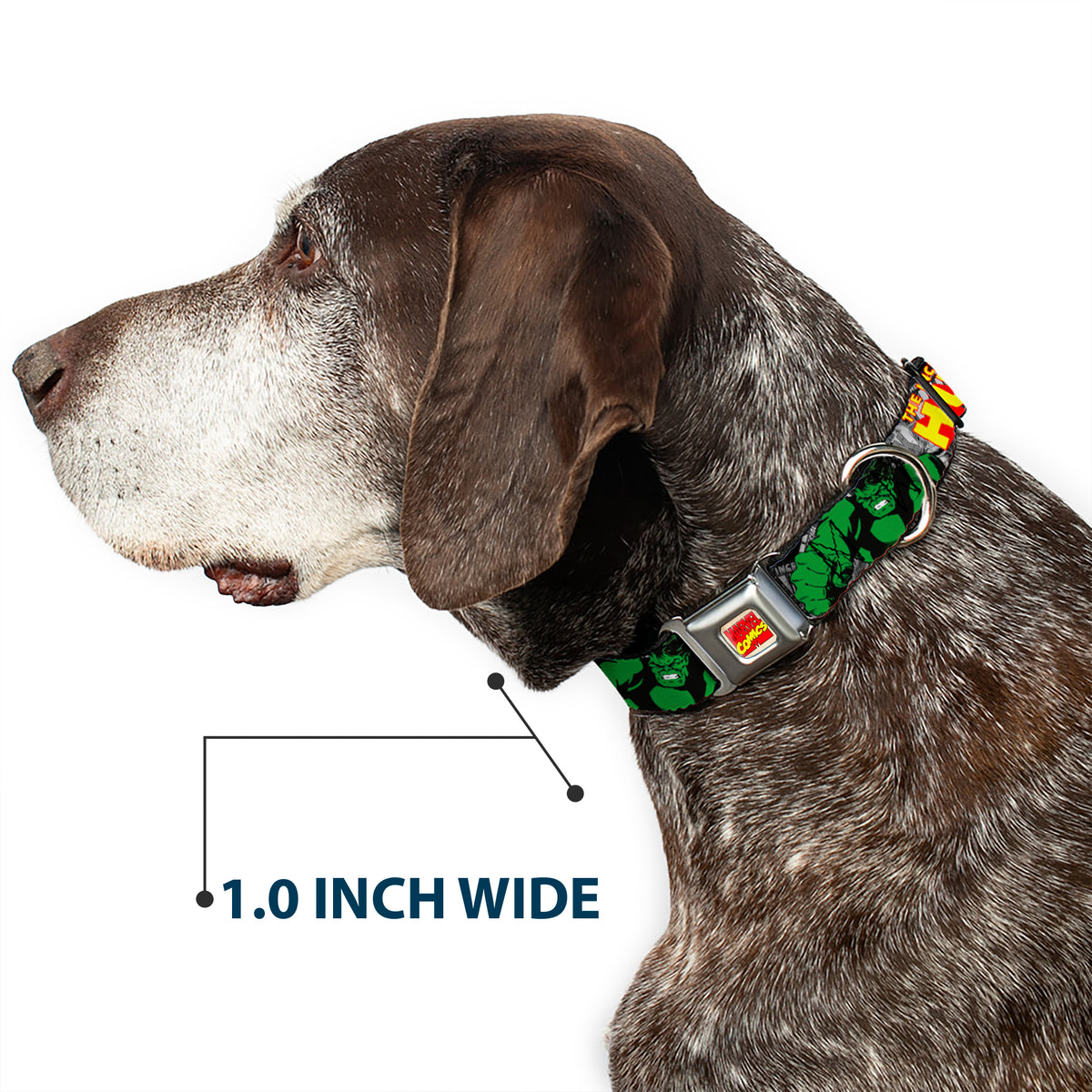 MARVEL COMICS Marvel Comics Logo Full Color Seatbelt Buckle Collar - THE INCREDIBLE HULK Action Poses/Stacked Comics Dog Collars Seatbelt Buckle Marvel Comics