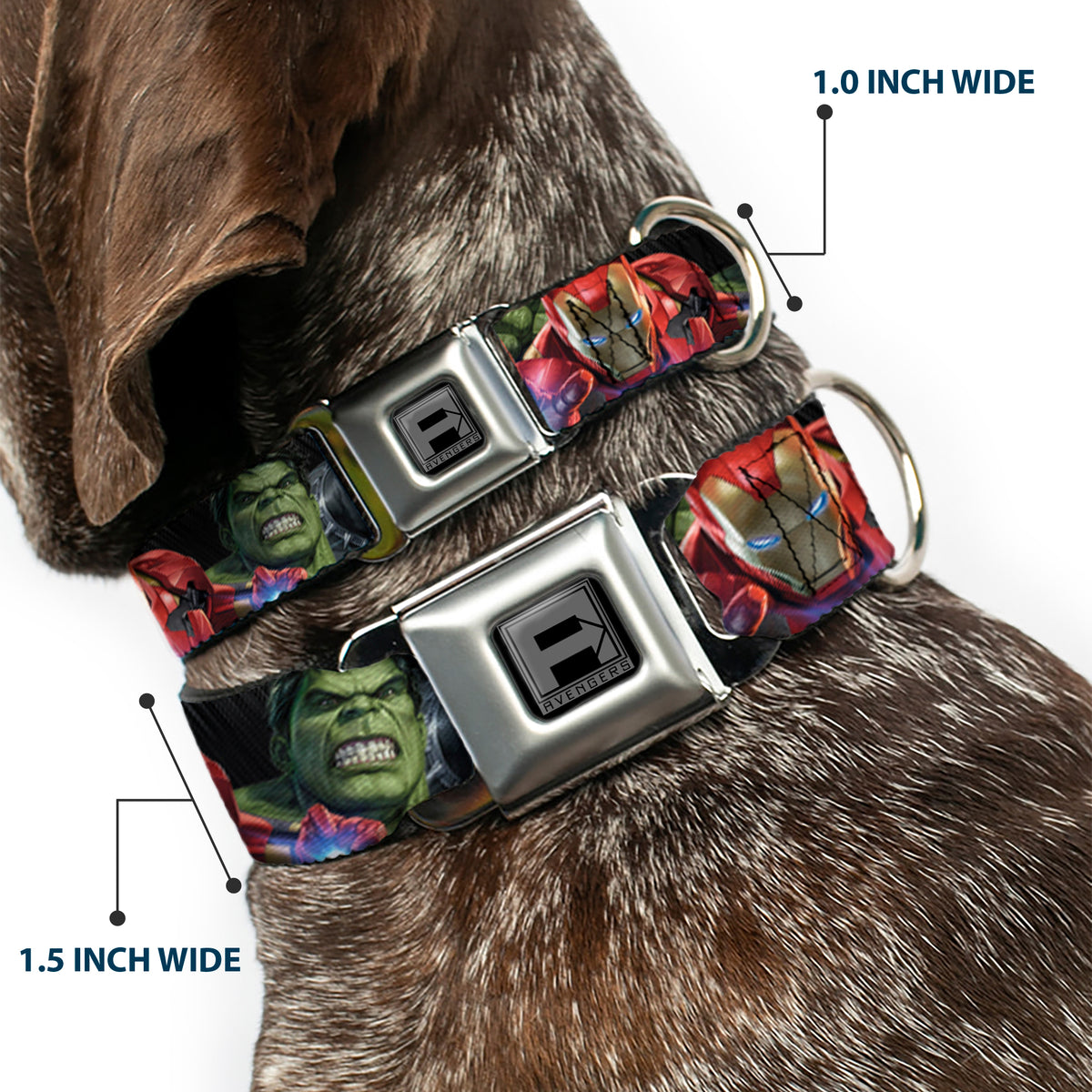 AVENGERS Block Logo Full Color Black/White Seatbelt Buckle Collar - 7-Vivid Avengers Action Poses Dog Collars Seatbelt Buckle Marvel Comics