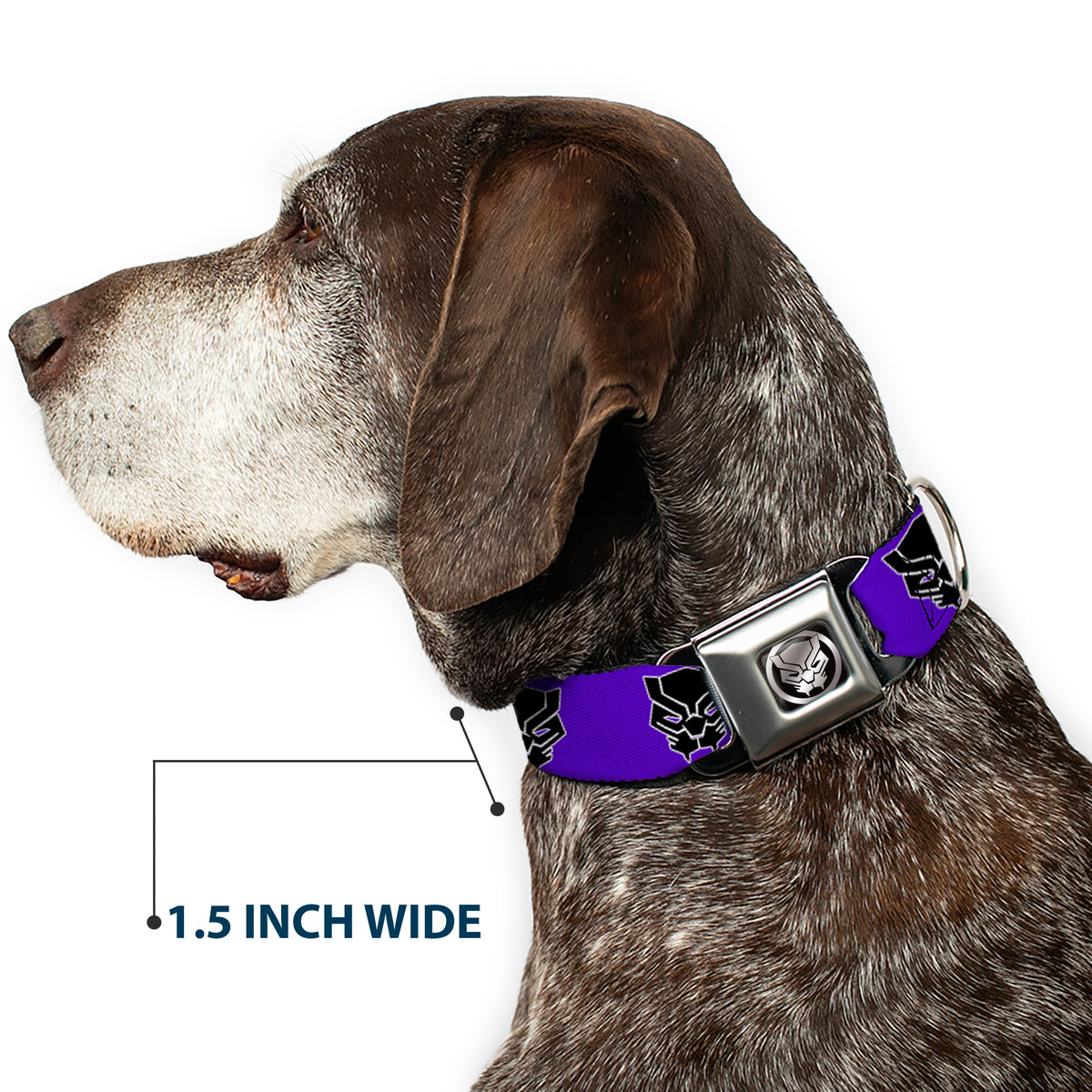 Seatbelt Buckle Collar - Black Panther Avengers Icon Purple/White/Black Dog Collars Seatbelt Buckle Marvel Comics
