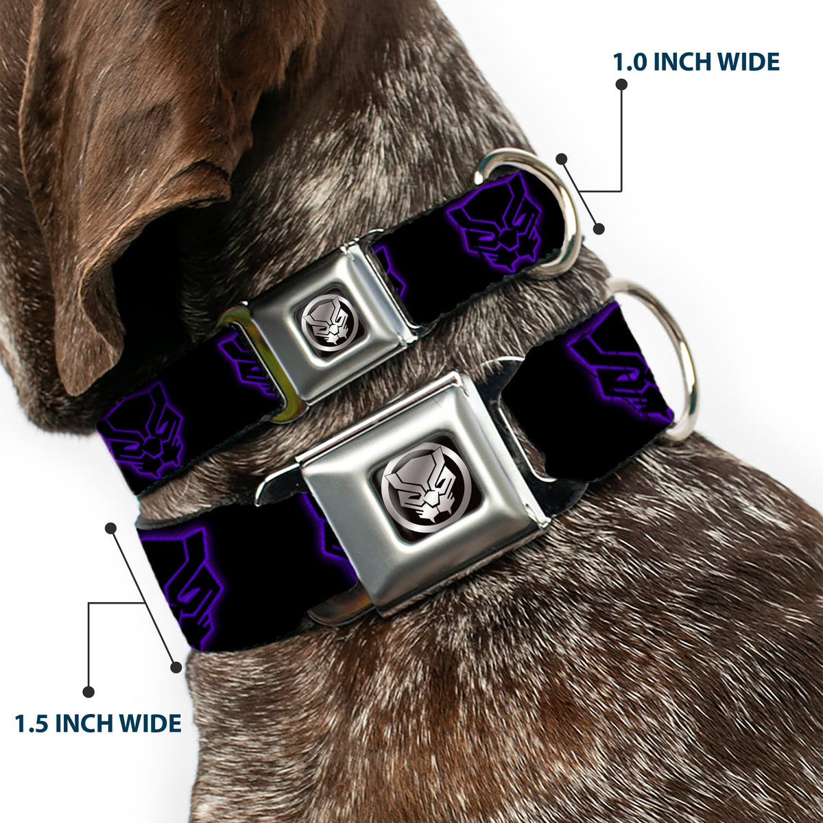 Black Panther Avengers Icon Black/Silver Seatbelt Buckle Collar - Black Panther Avengers Icon Outline Black/Purple Dog Collars Seatbelt Buckle Marvel Comics