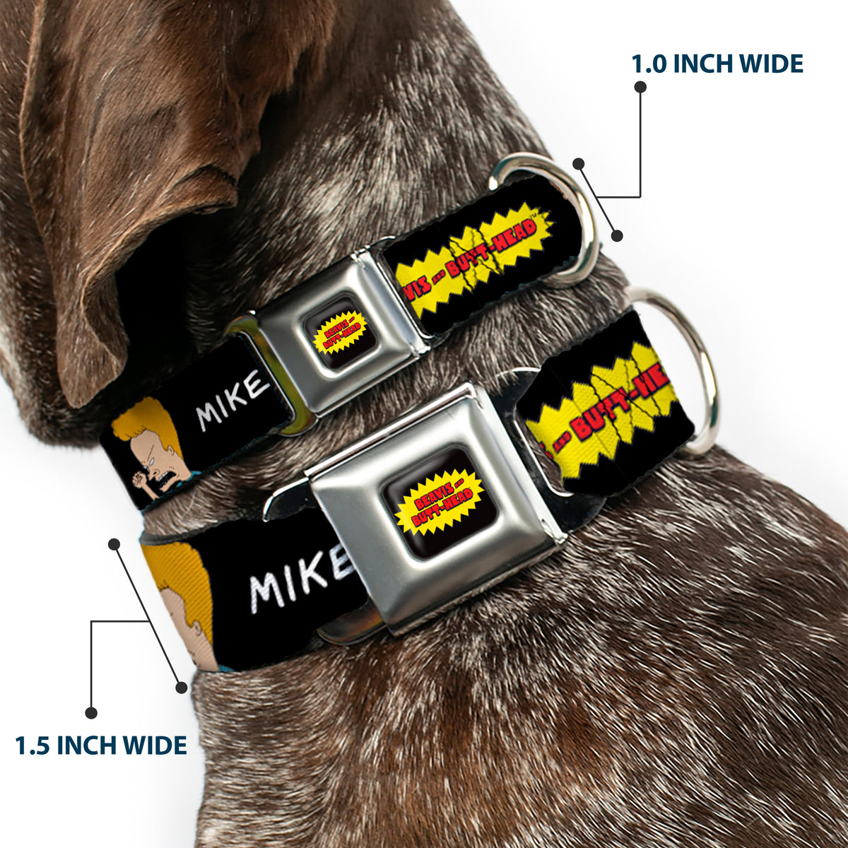 BEAVIS AND BUTT-HEAD Title Logo Full Color Black/Yellow/Red Seatbelt Buckle Collar - BEAVIS AND BUTT-HEAD Title Logo and Pose Black Dog Collars Seatbelt Buckle MTV