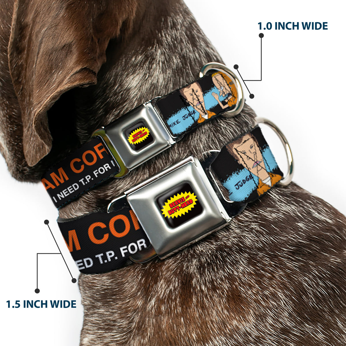 BEAVIS AND BUTT-HEAD Title Logo Full Color Black/Yellow/Red Seatbelt Buckle Collar - Beavis and Butt-Head I AM CORNHOLIO Pose Black/Orange/White Dog Collars Seatbelt Buckle MTV