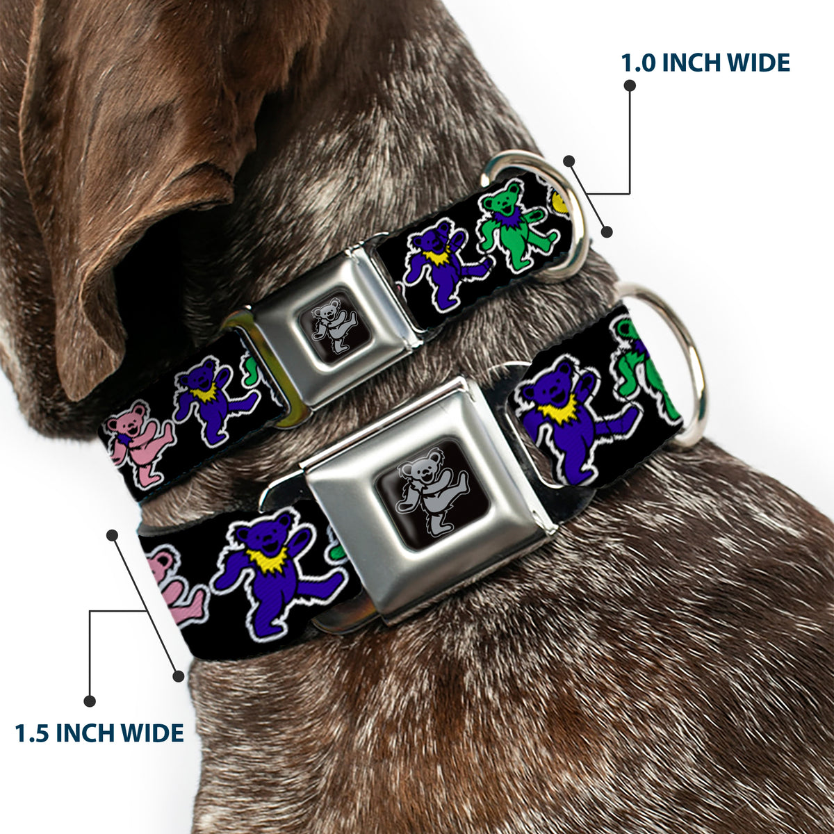 Grateful Dead Bear Seatbelt Buckle Collar - Dancing Bears Black/Multi Color Dog Collars Seatbelt Buckle Grateful Dead