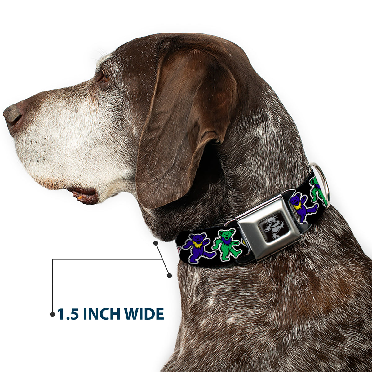 Grateful Dead Bear Seatbelt Buckle Collar - Dancing Bears Black/Multi Color Dog Collars Seatbelt Buckle Grateful Dead