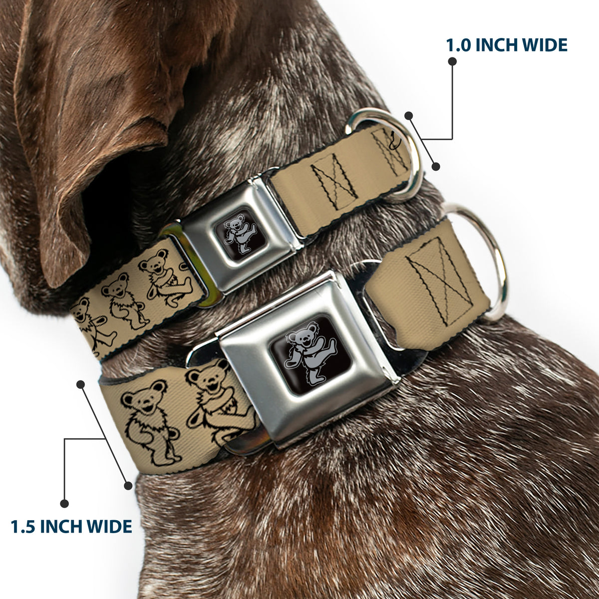 Grateful Dead Bear Seatbelt Buckle Collar - Dancing Bears Tan/Black Dog Collars Seatbelt Buckle Grateful Dead