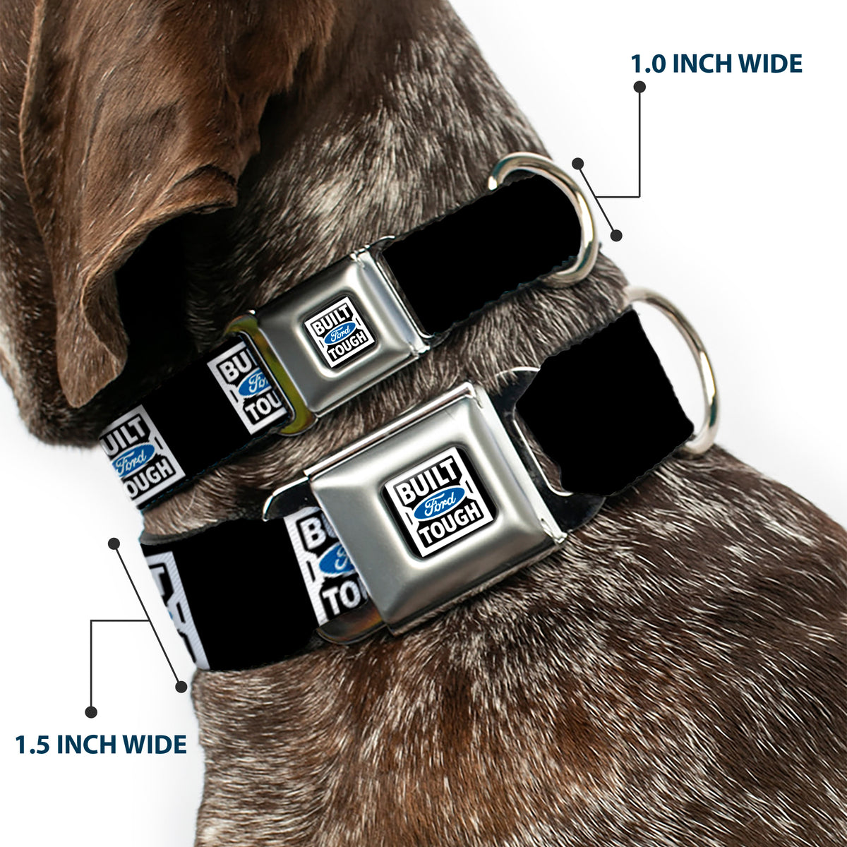 BUILT FORD TOUGH Logo2 Full Color Black White Blue Seatbelt Buckle Collar - BUILT FORD TOUGH Logo2 Black/White/Blue Dog Collars Seatbelt Buckle Ford