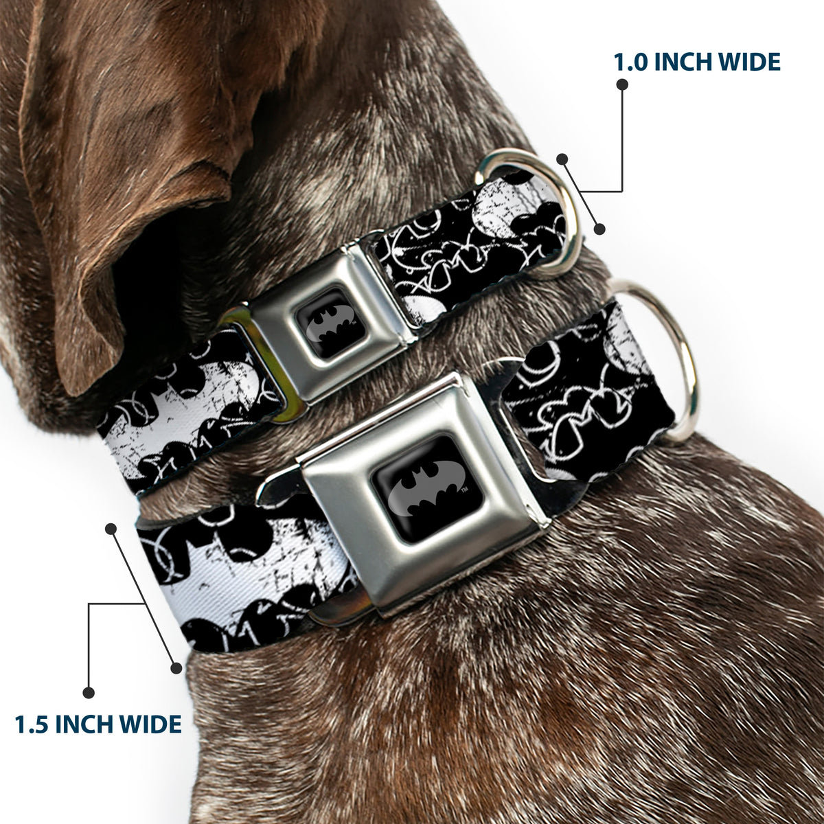 Batman Black Silver Seatbelt Buckle Collar - Batman Outlines Black/White Dog Collars Seatbelt Buckle DC Comics