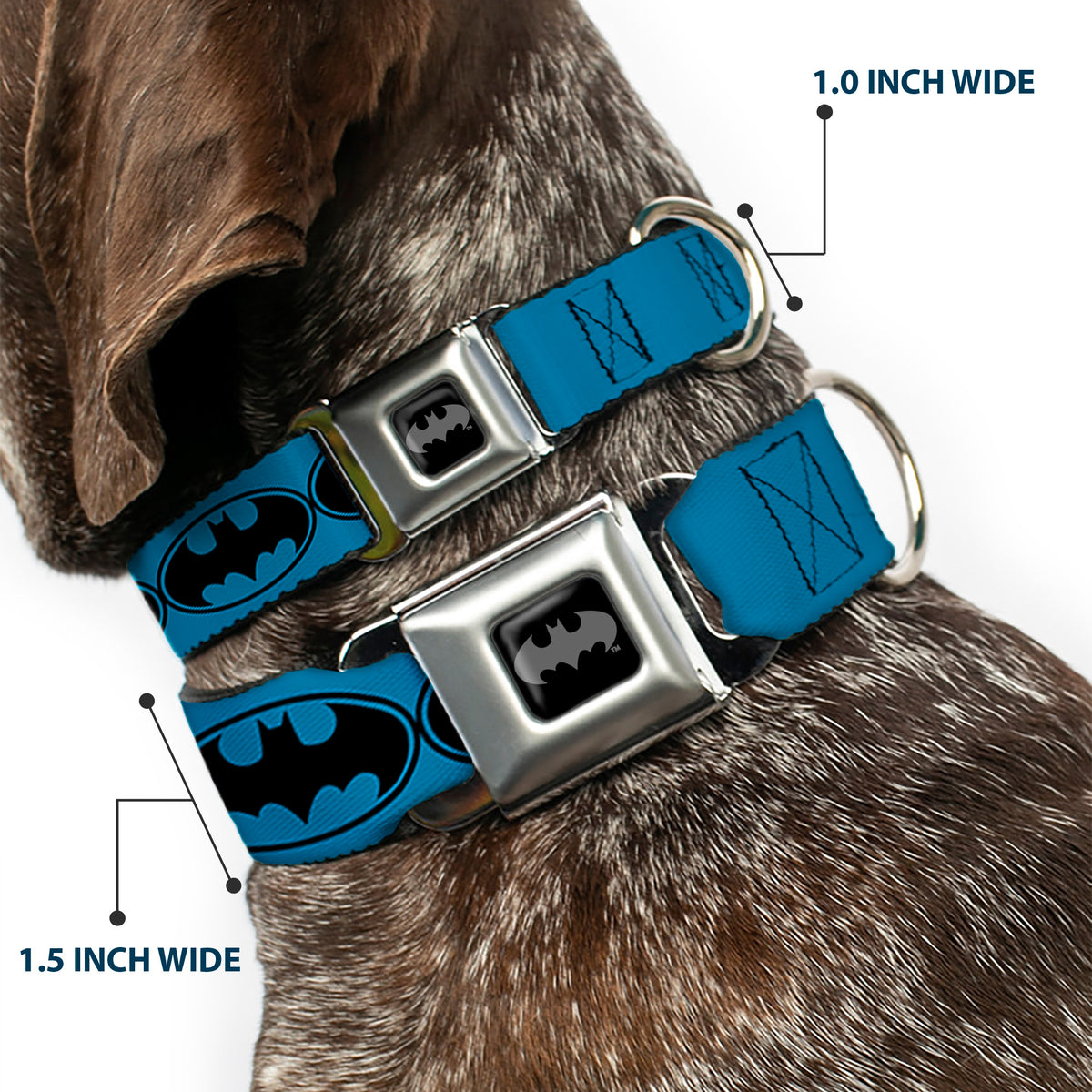 Batman Black Silver Seatbelt Buckle Collar - Bat Signal-3 Blue/Black/Blue Dog Collars Seatbelt Buckle DC Comics