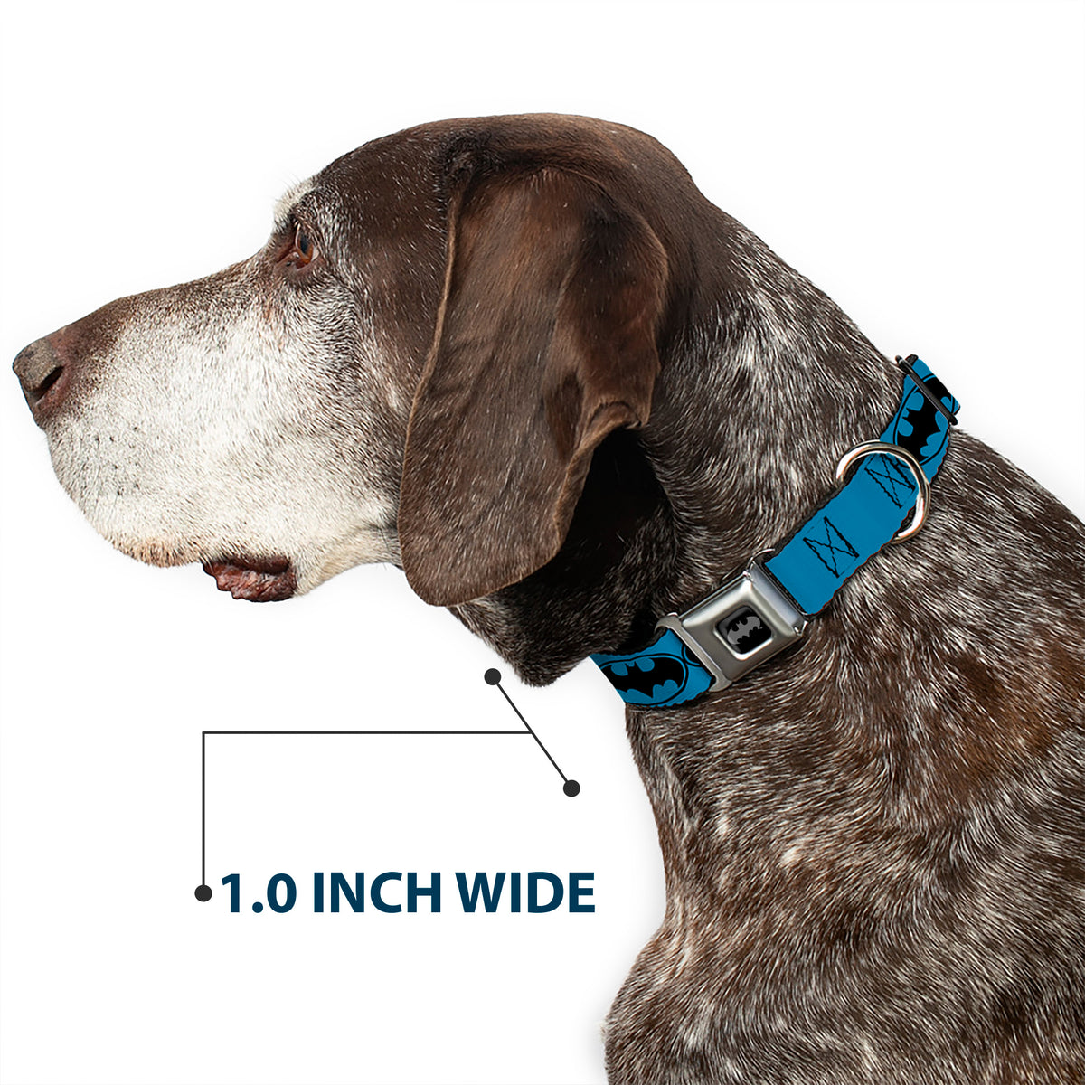 Batman Black Silver Seatbelt Buckle Collar - Bat Signal-3 Blue/Black/Blue Dog Collars Seatbelt Buckle DC Comics