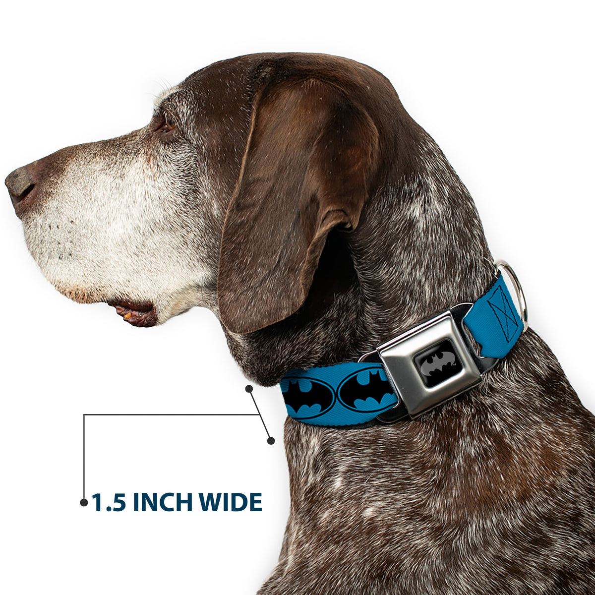Batman Black Silver Seatbelt Buckle Collar - Bat Signal-3 Blue/Black/Blue Dog Collars Seatbelt Buckle DC Comics