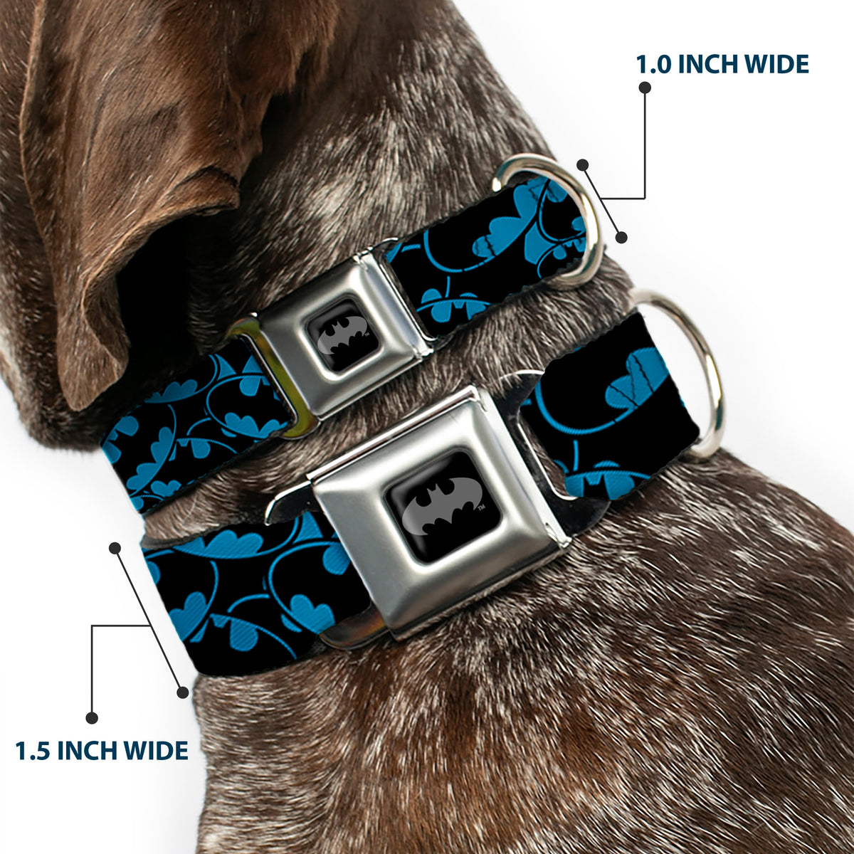 Batman Black/Silver Seatbelt Buckle Collar - Bat Signals Stacked Blue/Black Dog Collars Seatbelt Buckle DC Comics