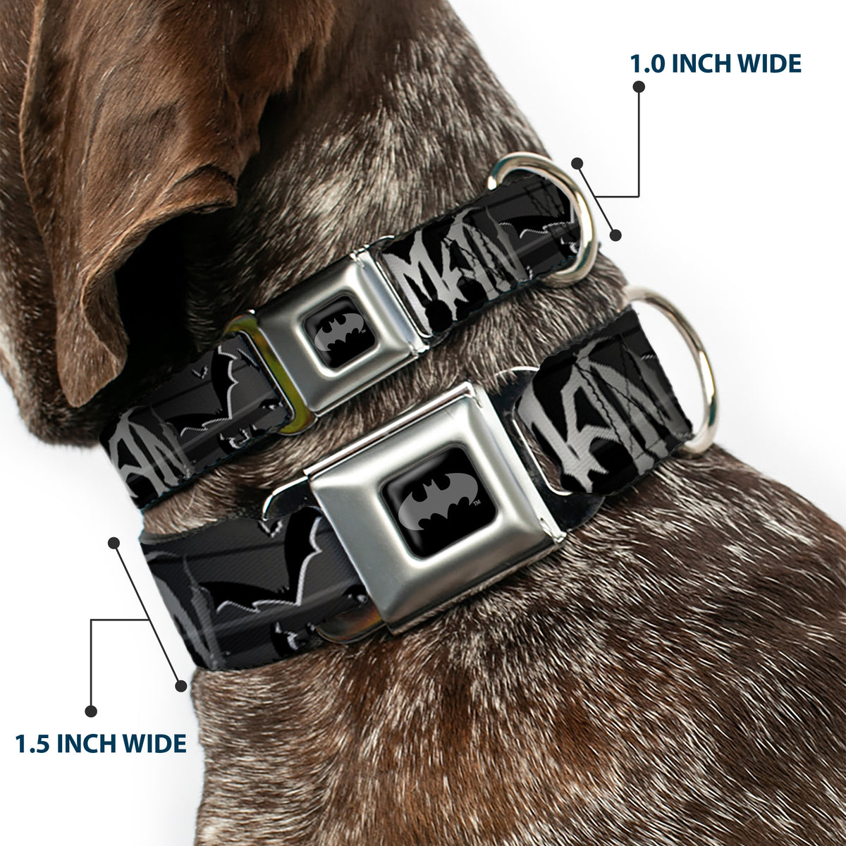 Batman Black Silver Seatbelt Buckle Collar - BATMAN w/Bat Signals & Flying Bats Black/White Dog Collars Seatbelt Buckle DC Comics