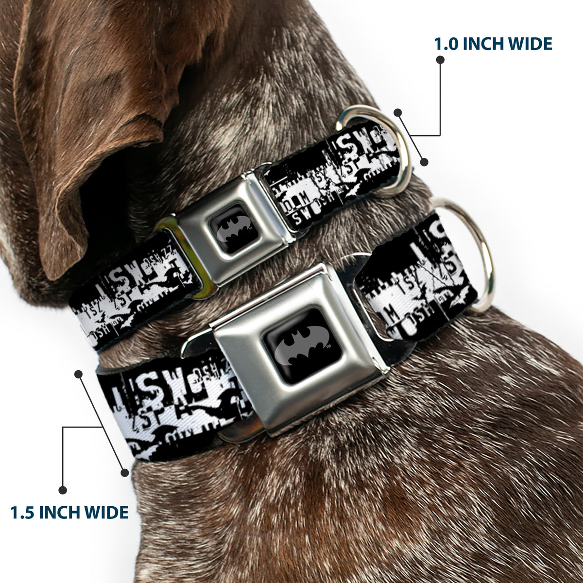 Batman Black Silver Seatbelt Buckle Collar - Batman Action Verbiage Black/White Dog Collars Seatbelt Buckle DC Comics