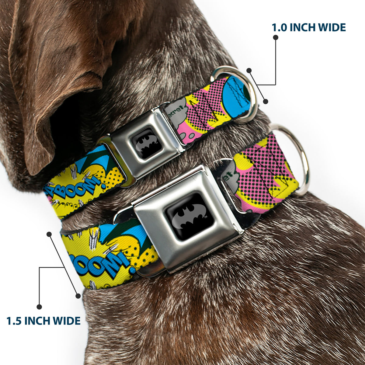 Batman Black/Silver Seatbelt Buckle Collar - BATGIRL-IS SHE HERO OR VILLAIN? w/Batgirl in Action Dog Collars Seatbelt Buckle DC Comics