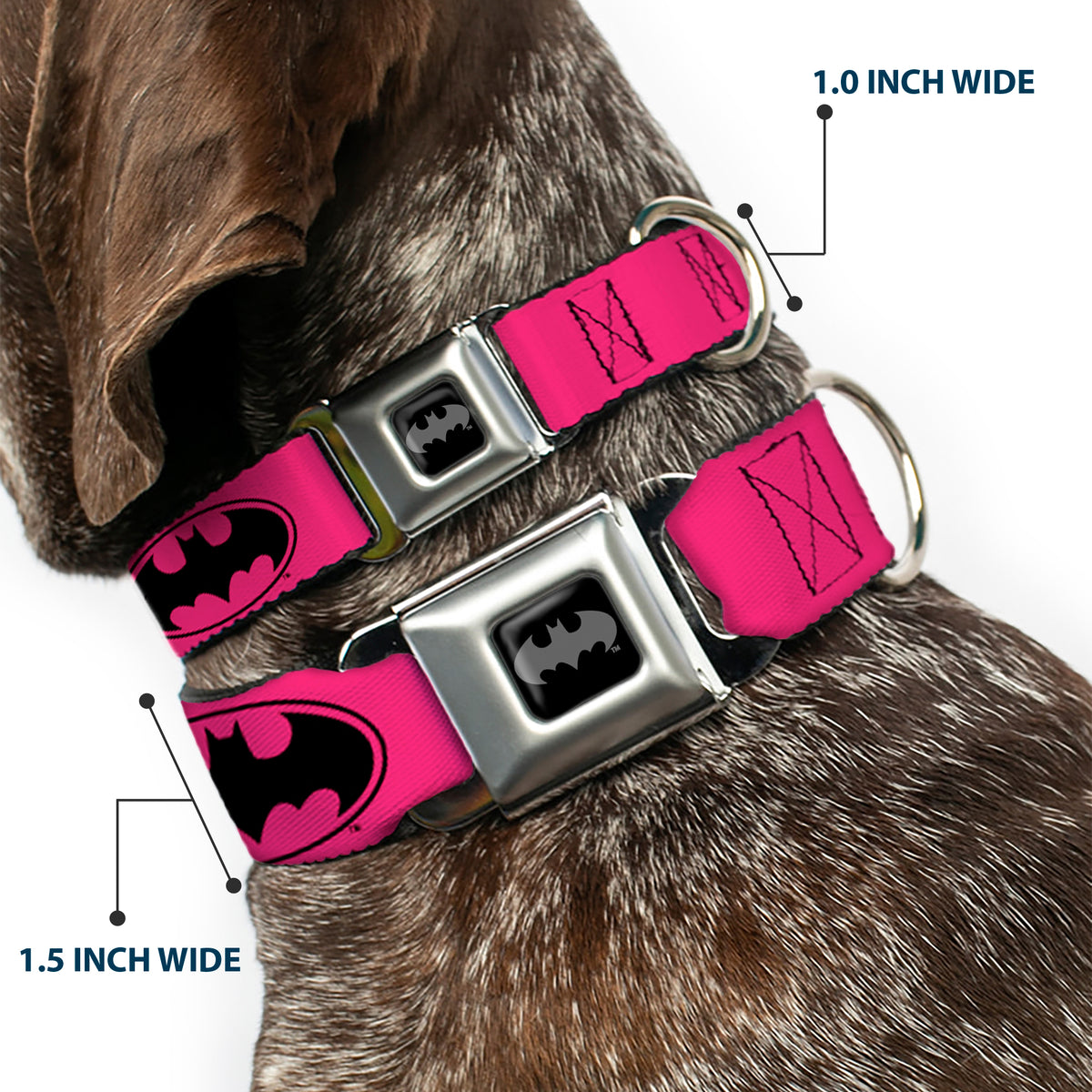 Batman Black Silver Seatbelt Buckle Collar - Bat Signal-3 Fuchsia/Black/Fuchsia Dog Collars Seatbelt Buckle DC Comics