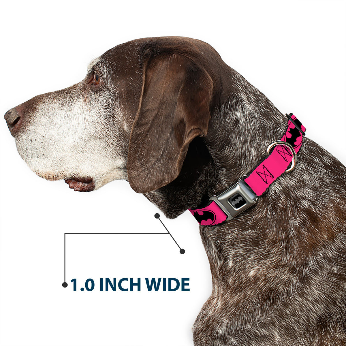 Batman Black Silver Seatbelt Buckle Collar - Bat Signal-3 Fuchsia/Black/Fuchsia Dog Collars Seatbelt Buckle DC Comics
