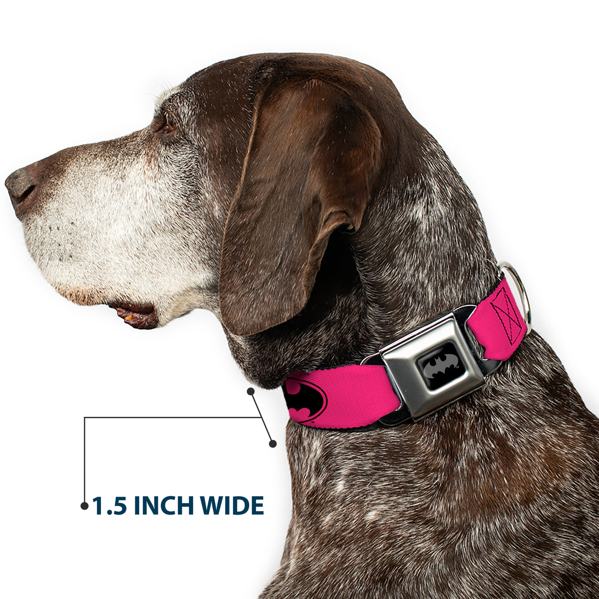 Batman Black Silver Seatbelt Buckle Collar - Bat Signal-3 Fuchsia/Black/Fuchsia Dog Collars Seatbelt Buckle DC Comics
