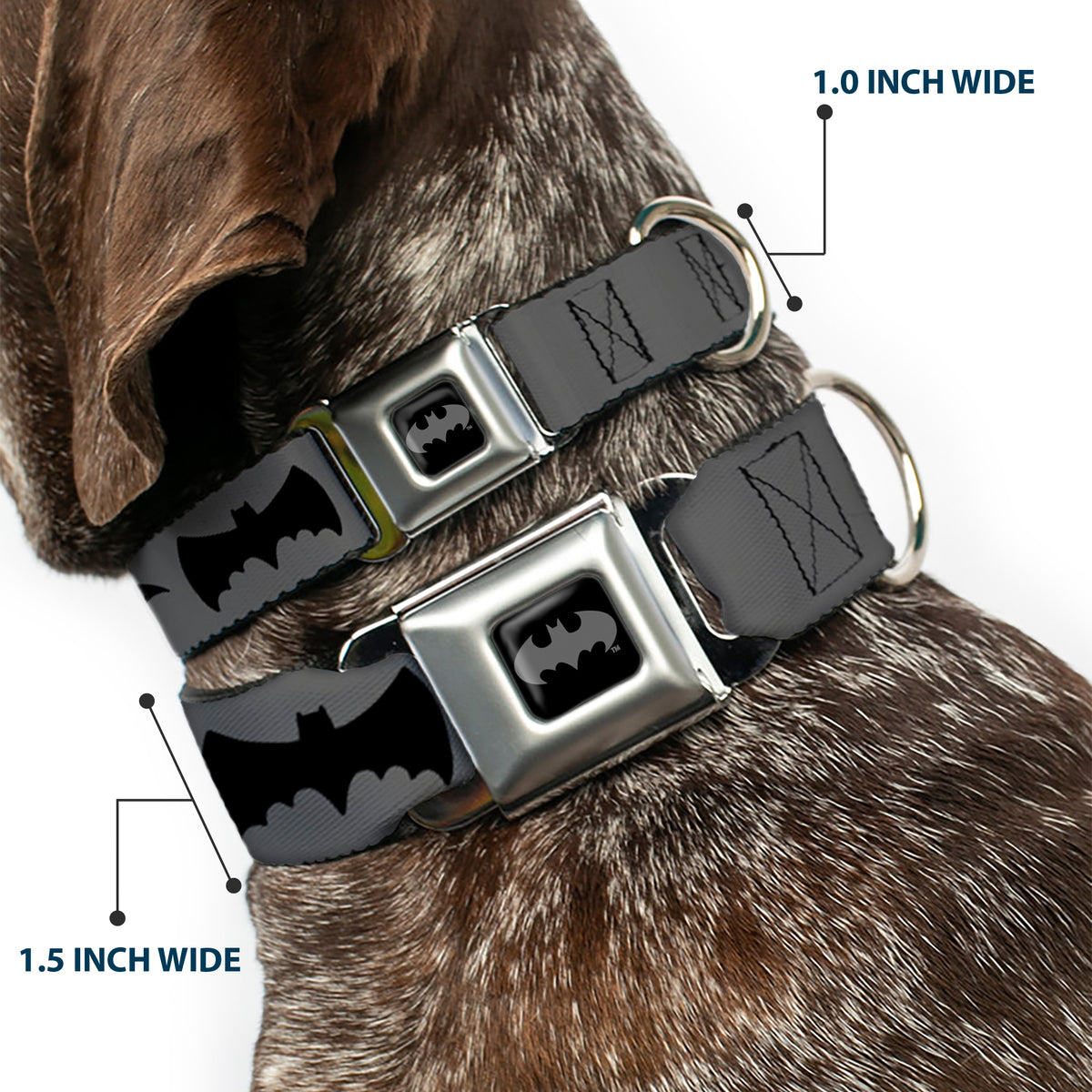 Batman Black/Silver Seatbelt Buckle Collar - Bat Logo Transitions Gray/Black Dog Collars Seatbelt Buckle DC Comics