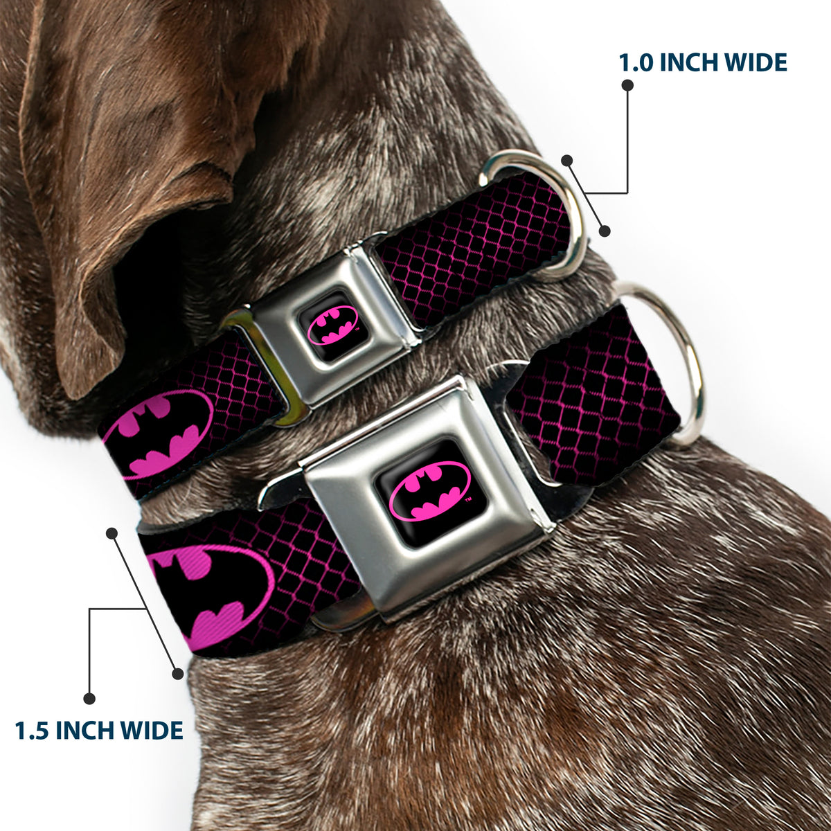 Batman Shield Full Color Black/Hot Pink Seatbelt Buckle Collar - Batman Shield/Chainlink Black/Hot Pink Dog Collars Seatbelt Buckle DC Comics