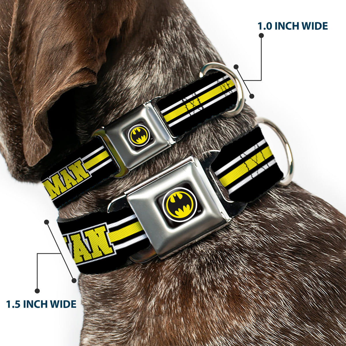 Bat Signal Black/White/Yellow Seatbelt Buckle Collar - BATMAN/Bat Signal Triple Stripe Black/White/Yellow Dog Collars Seatbelt Buckle DC Comics