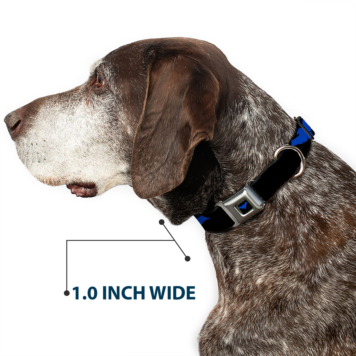 Nightwing Logo Full Color Black Blue Seatbelt Buckle Collar - Nightwing Logo Black/Blue Dog Collars Seatbelt Buckle DC Comics