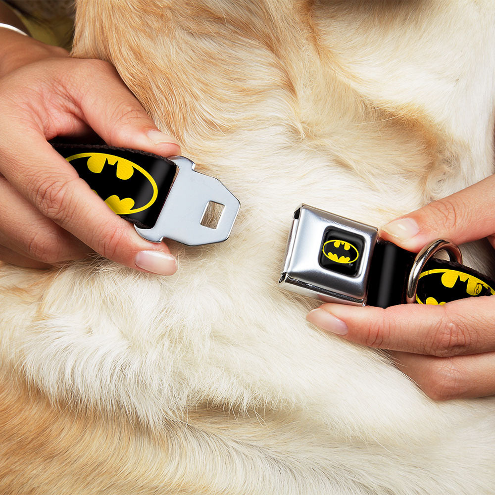 Batman Full Color Black Yellow Seatbelt Buckle Collar - Batman Shield Black/Yellow Dog Collars Seatbelt Buckle DC Comics