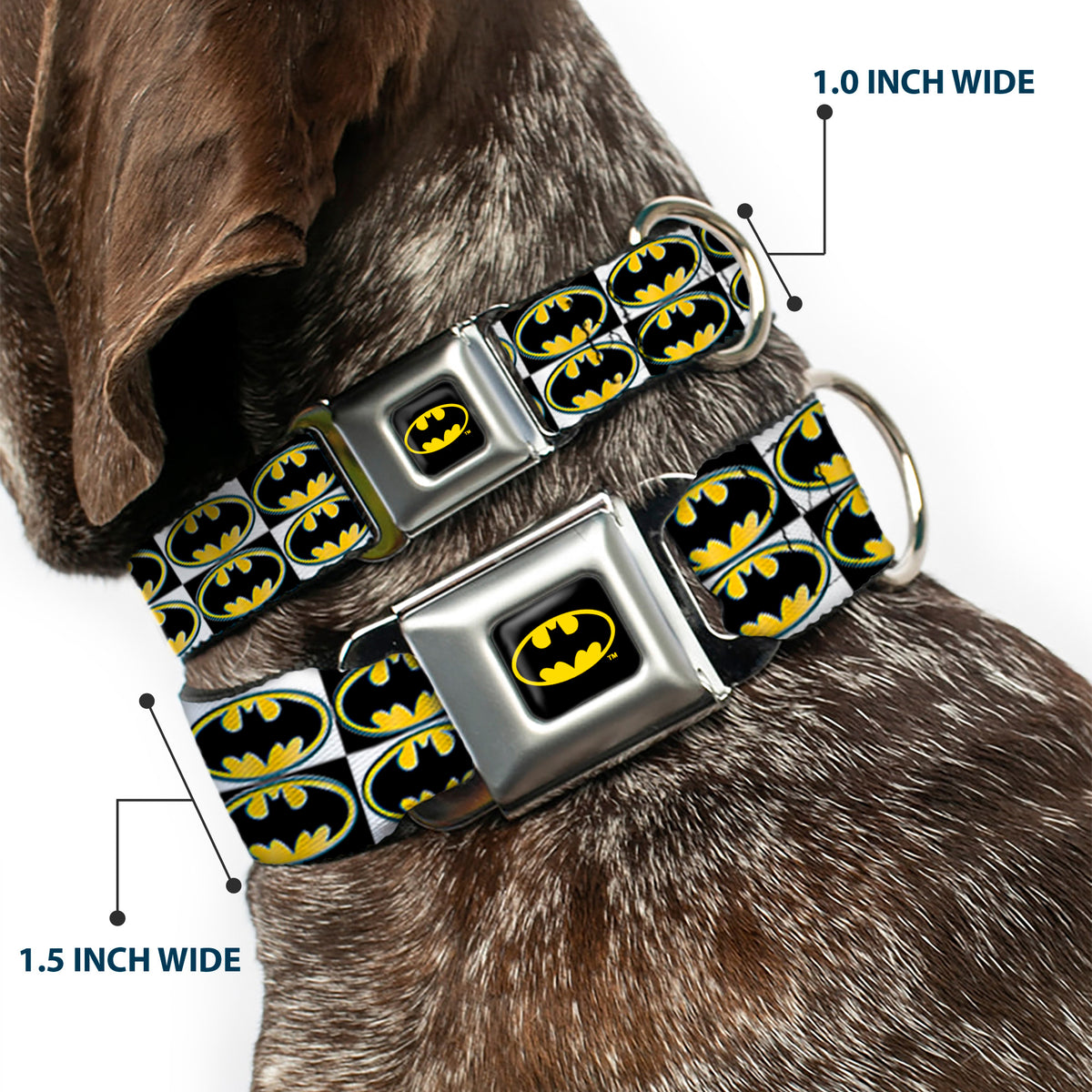 Batman Full Color Black Yellow Seatbelt Buckle Collar - Batman Shield Checkers Dog Collars Seatbelt Buckle DC Comics