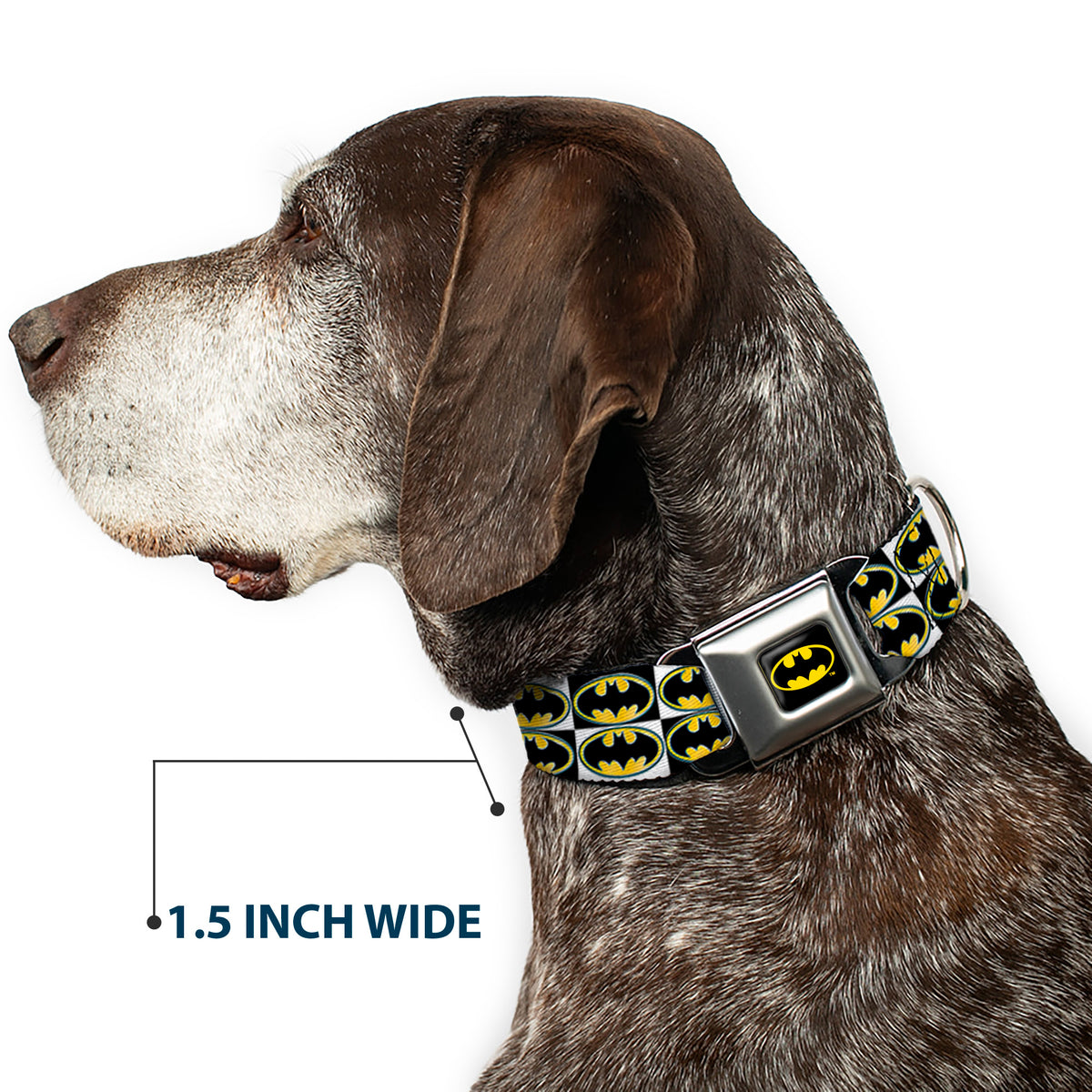 Batman Full Color Black Yellow Seatbelt Buckle Collar - Batman Shield Checkers Dog Collars Seatbelt Buckle DC Comics