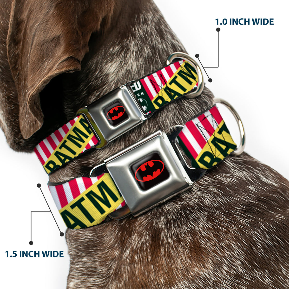 Batman Full Color Black Yellow Seatbelt Buckle Collar - Batman Caped Crusader Dog Collars Seatbelt Buckle DC Comics