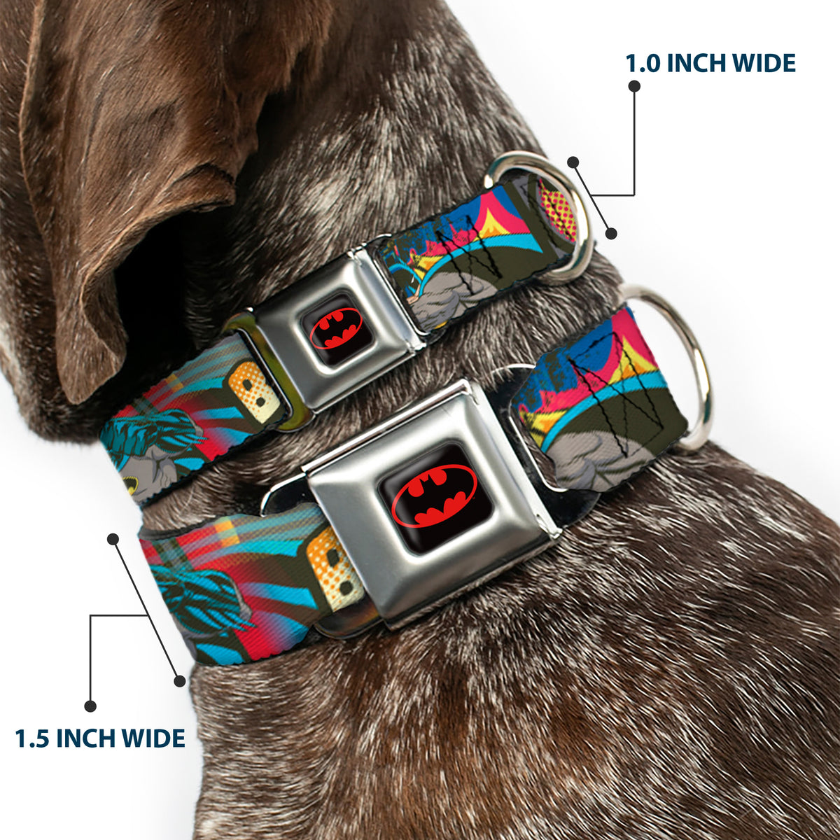 Batman Full Color Black Yellow Seatbelt Buckle Collar - Batman Dark Knight Dog Collars Seatbelt Buckle DC Comics