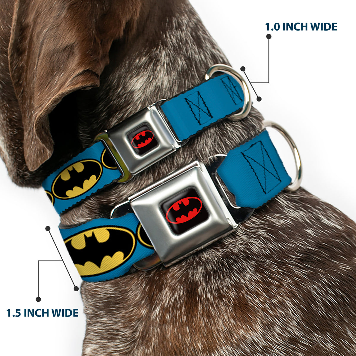 Batman Full Color Black Yellow Seatbelt Buckle Collar - Bat Signal-3 Blue/Black/Yellow Dog Collars Seatbelt Buckle DC Comics