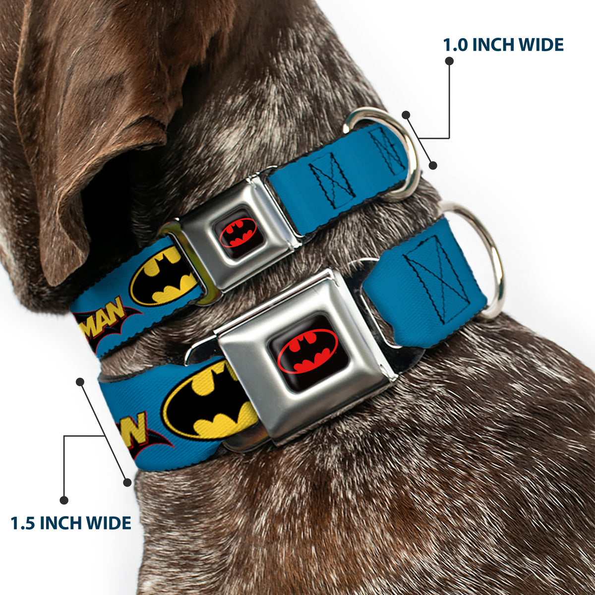 Batman Full Color Black Yellow Seatbelt Buckle Collar - Vintage Batman Logo & Bat Signal Blue Dog Collars Seatbelt Buckle DC Comics