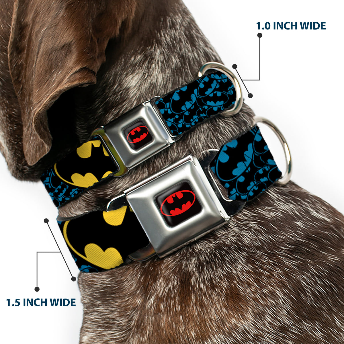 Batman Full Color Black Yellow Seatbelt Buckle Collar - Bat Signals Stacked w/CLOSE-UP Blue/Black/Yellow Dog Collars Seatbelt Buckle DC Comics