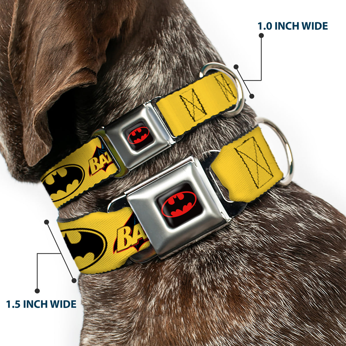 Batman Full Color Black Yellow Seatbelt Buckle Collar - Vintage Batman Logo & Bat Signal-3 Yellow Dog Collars Seatbelt Buckle DC Comics