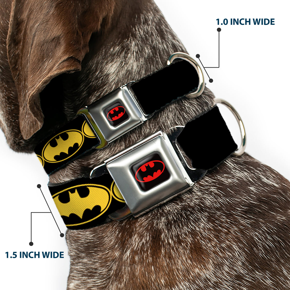Batman Full Color Black Yellow Seatbelt Buckle Collar - Bat Signal-3 Black/Yellow/Black Dog Collars Seatbelt Buckle DC Comics