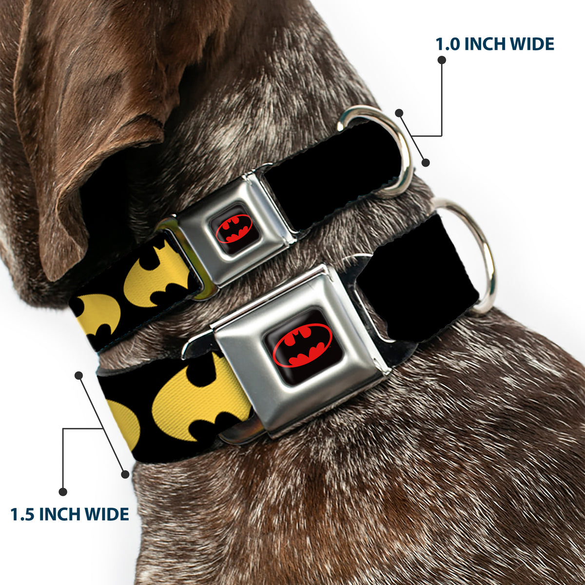 Batman Full Color Black Yellow Seatbelt Buckle Collar - Bat Signal-1 Black/Yellow Dog Collars Seatbelt Buckle DC Comics