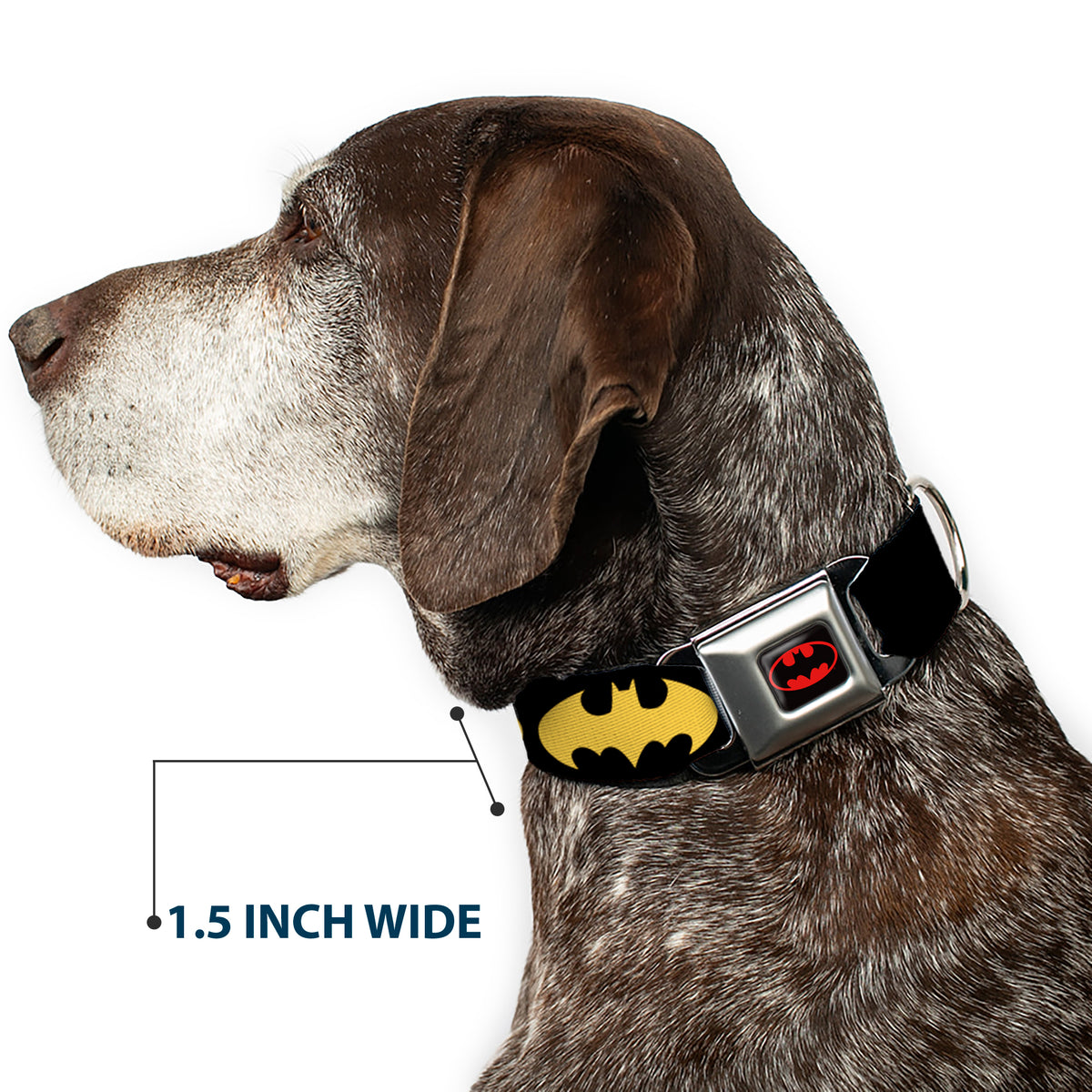 Batman Full Color Black Yellow Seatbelt Buckle Collar - Bat Signal-1 Black/Yellow Dog Collars Seatbelt Buckle DC Comics